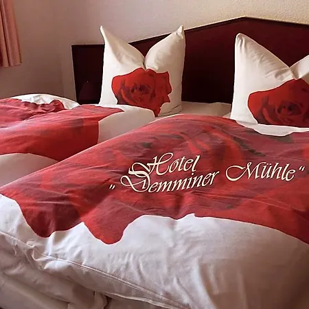 Demminer Muehle Demmin
