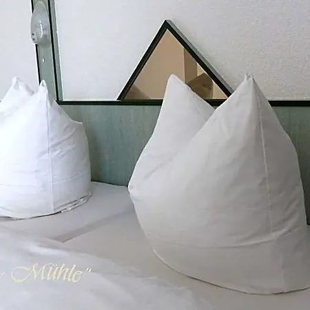 Hotel Demminer Muehle