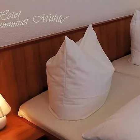 Hotel Demminer Muehle Demmin