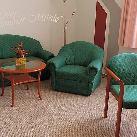 Demminer Muehle Hotel 3*