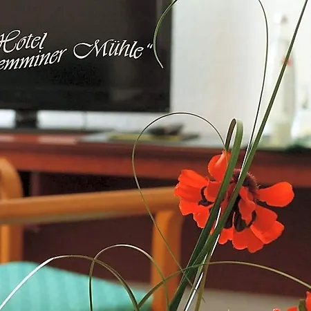 Hotel Demminer Muehle