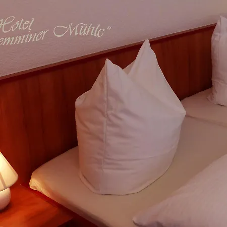 Demminer Muehle 酒店 代明