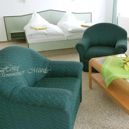 Demminer Muehle 酒店 3*