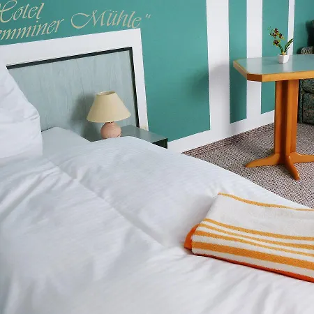 Demminer Muehle 酒店 代明