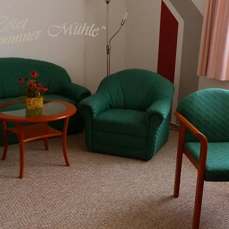 Demminer Muehle 酒店 3*