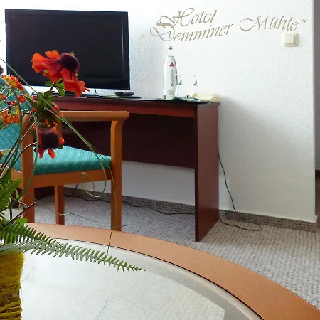 Demminer Muehle 酒店 代明
