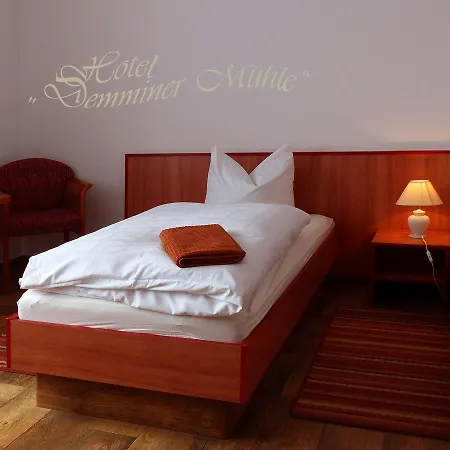 Demminer Muehle 酒店 3*