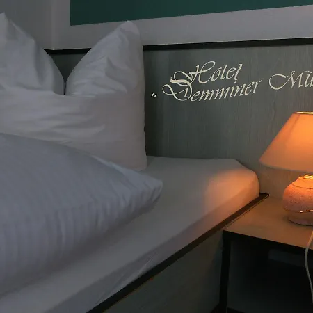Demminer Muehle 酒店 3*