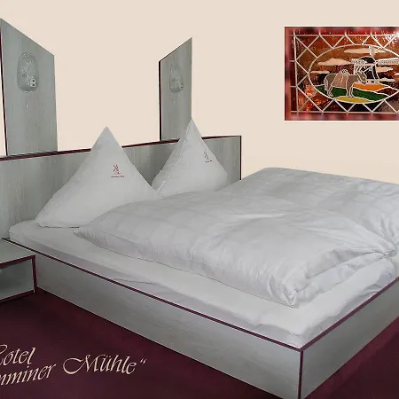 酒店 Demminer Muehle