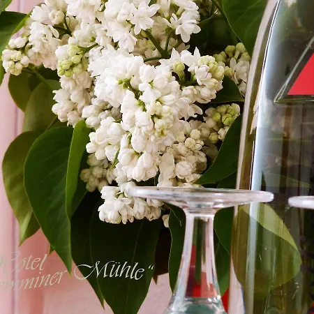 Demminer Muehle 酒店