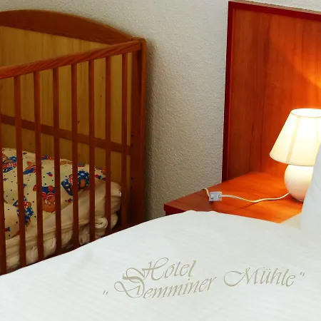 Demminer Muehle 酒店 3*