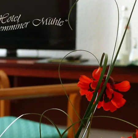 Demminer Muehle 酒店 代明