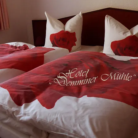 酒店 Demminer Muehle 代明